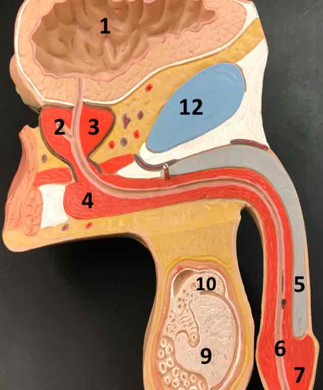 <p>1</p>
