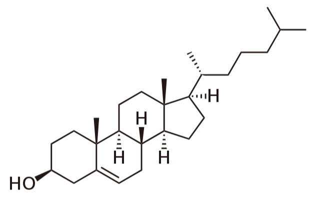 <p>part of the lipid family called sterols</p><p>the hydroxyl group is hydrophilic and the rest is hydrophobic</p><p>can insert into cell membranes - hydrophilic hydroxyl group interacts with the polar head of phospholipids and the rest interacts with the hydrophobic tails</p>