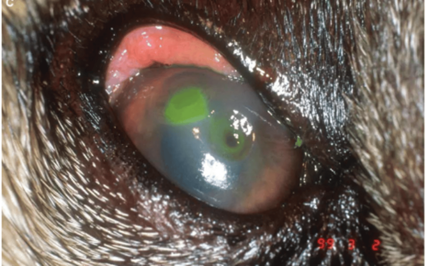 <p>this is called..</p>