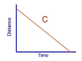 <p>What is the acceleration and gradient of this graph?</p><p>Name of graph?</p>