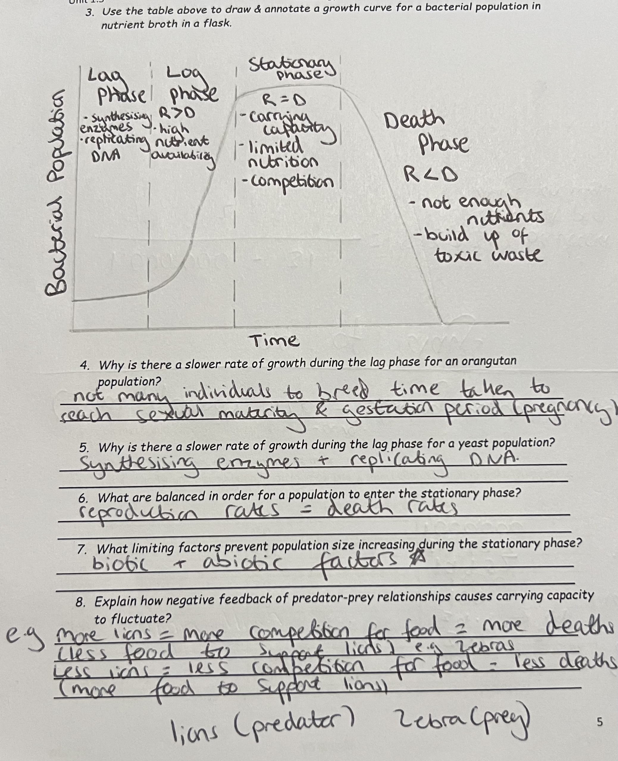 knowt flashcard image