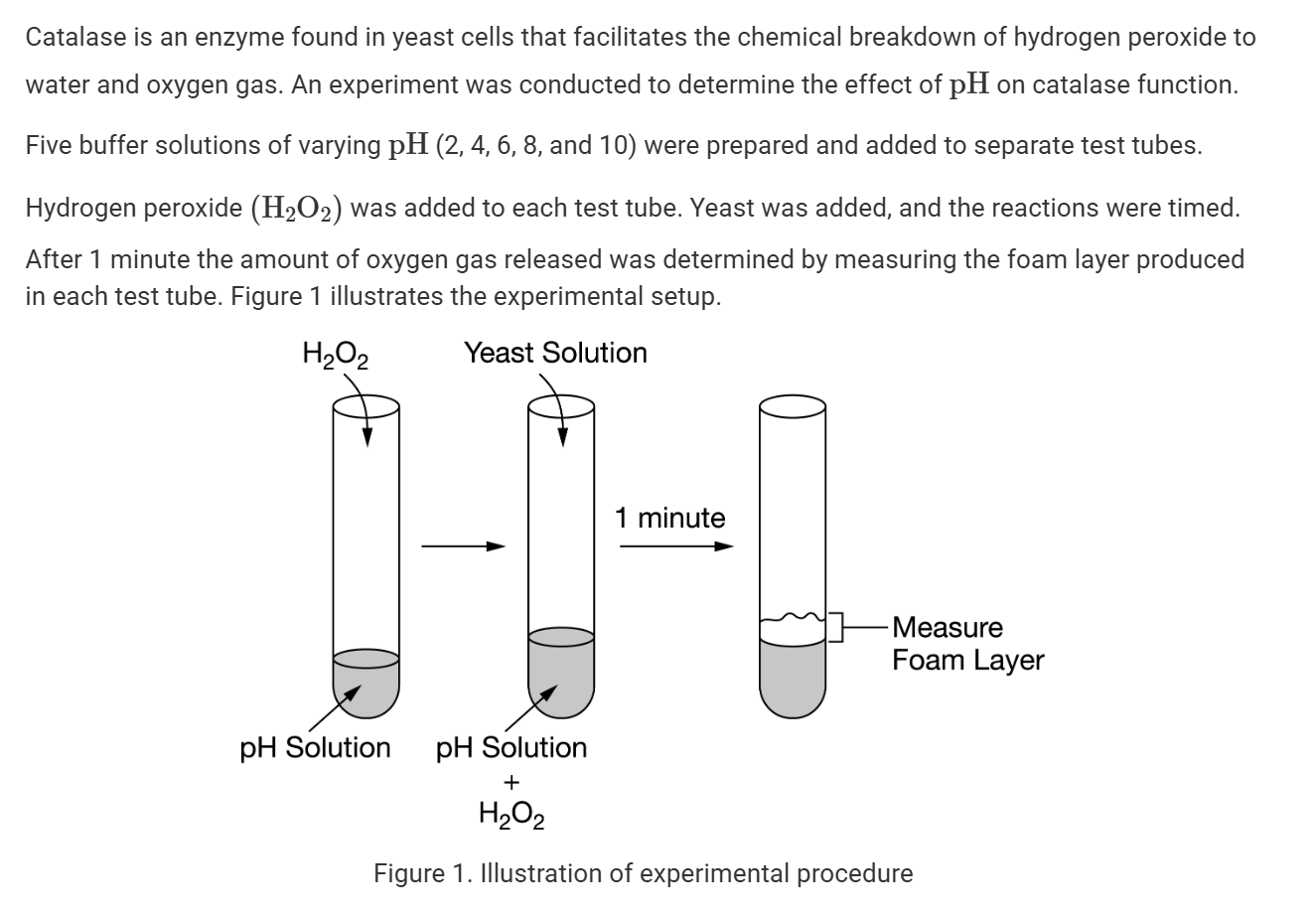 <p><span>A set of five additional test tubes were prepared and used as controls. Which of the following best describes the contents expected to be contained in one of the five control test tubes?</span></p>