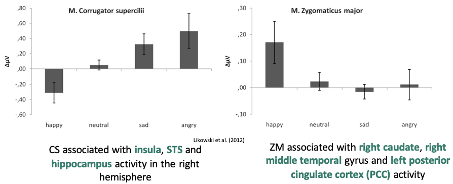 <p>CS = frowning muscle in forehead (associated with negative emotions)</p><p>ZM = smiling muscle in cheek </p><p></p><p>In a study, participants looked at avatars with different facial expressions and measured their facial expressions</p><ul><li><p><span>Happy faces = CS showed negative reflections relative to neutral but CS increased in response to sad faces</span></p><ul><li><p><span>May be a link between the facial muscles and the brain as activated negative brain regions</span></p></li></ul></li><li><p><span>ZM increased activation for happy, no response neutral, sad and angry little activation</span></p></li></ul><p>These specific muscles are activated not to every facial expression but are dependent on what someone else's face is doing</p><p></p><p><strong>brain correlates of emotion-selective muscles </strong></p><p>CS and ZM significantly correlated with right IFG, right SMA and left cerebellum (look at ss)&nbsp;</p><p></p>
