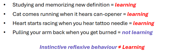 <p>Any lasting change in behavior or knowledge due to experience; instinctive reactions are not learning.</p>