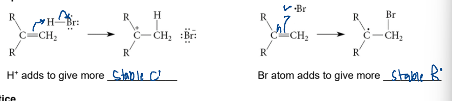 <p>tertiary > secondary > primary </p><ul><li><p>radical goes on more substituted carbon, halide on the lesser when reacting wih alkenes (addition)&nbsp;</p></li></ul><p></p>