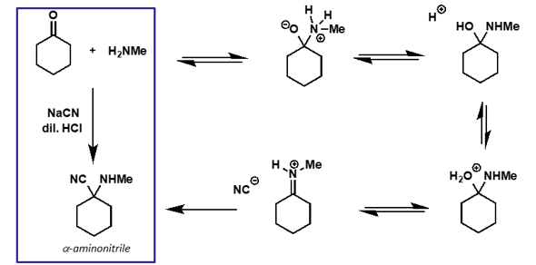 <p>cyanide is a nucleophile </p>
