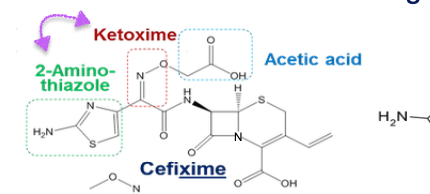<p>2-amino thiazole and oxime moiety </p>