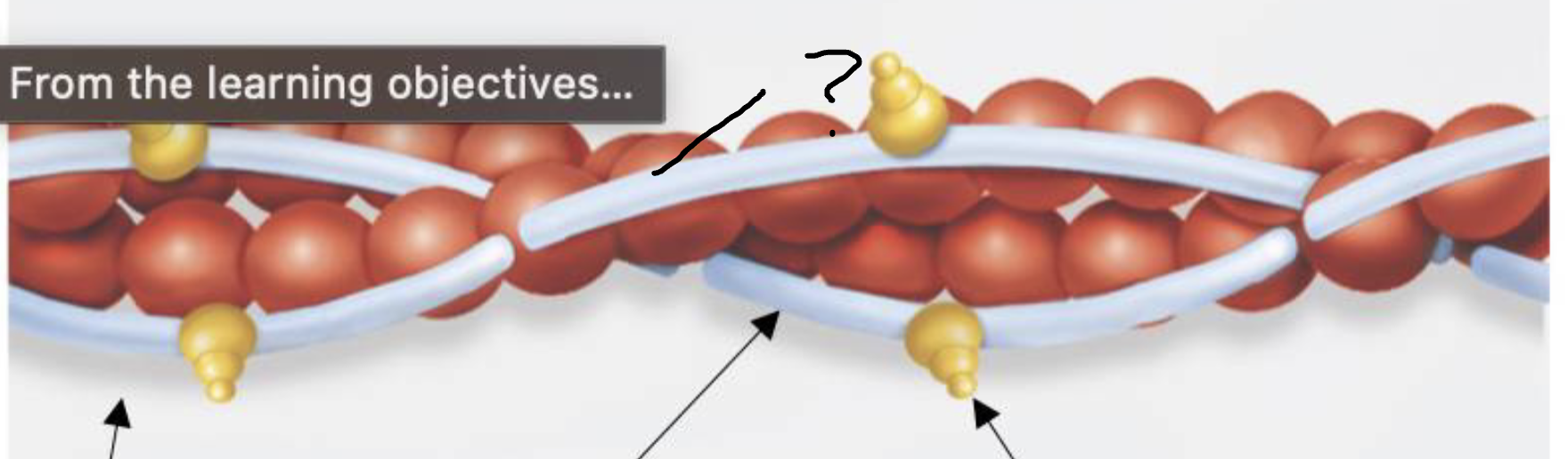 <p>what is this?</p>