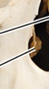 <p>What is the name of this bone in the skull?</p>