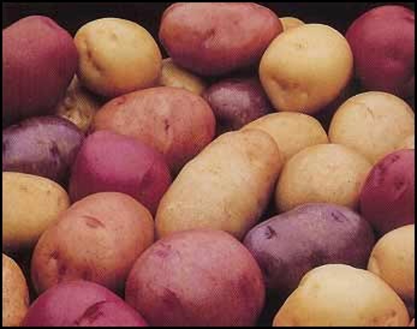 <p>potatoes</p>