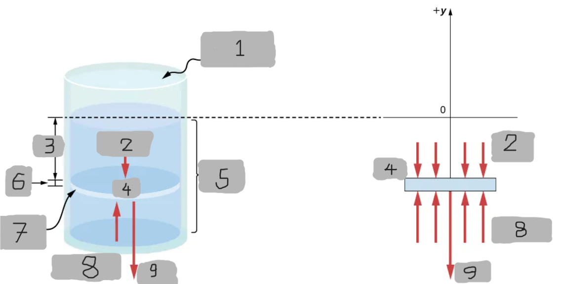 <p>(9)</p>