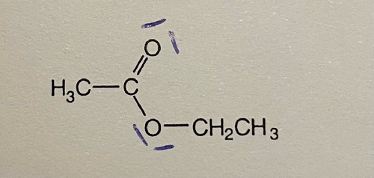 <p>Essigsäure-Ethyl-Ester (H3CCOOCH2CH3)</p>