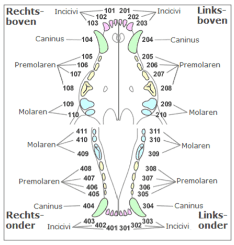 <p>Rechts onder</p>