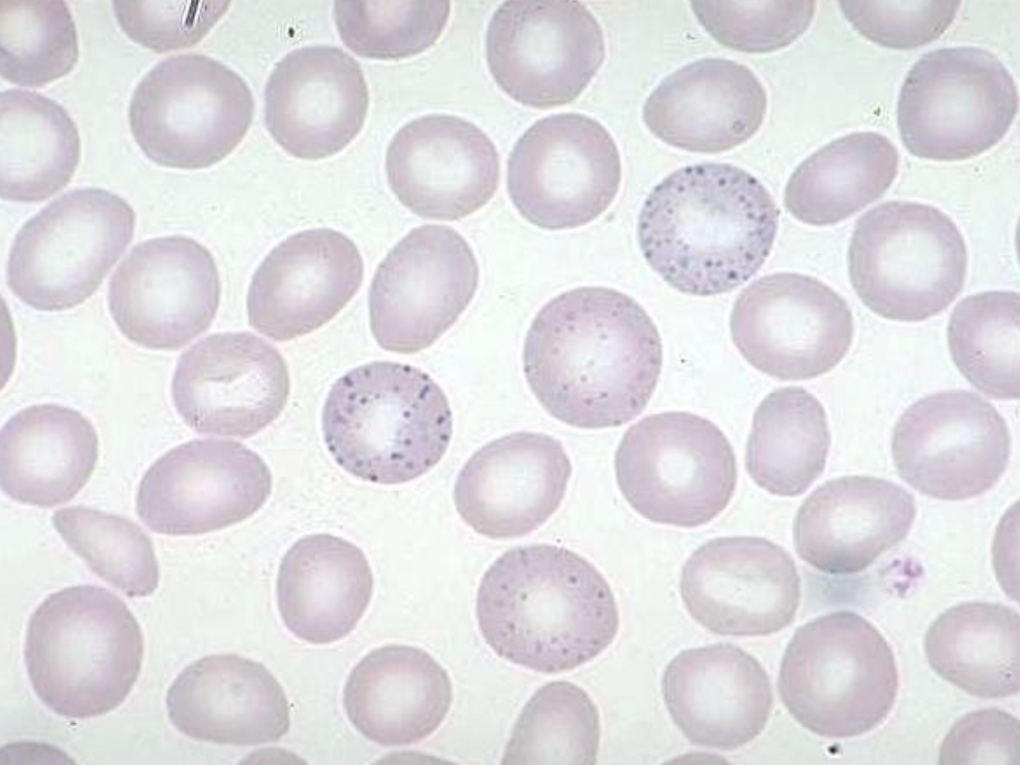 <p>what is this an example of?</p>