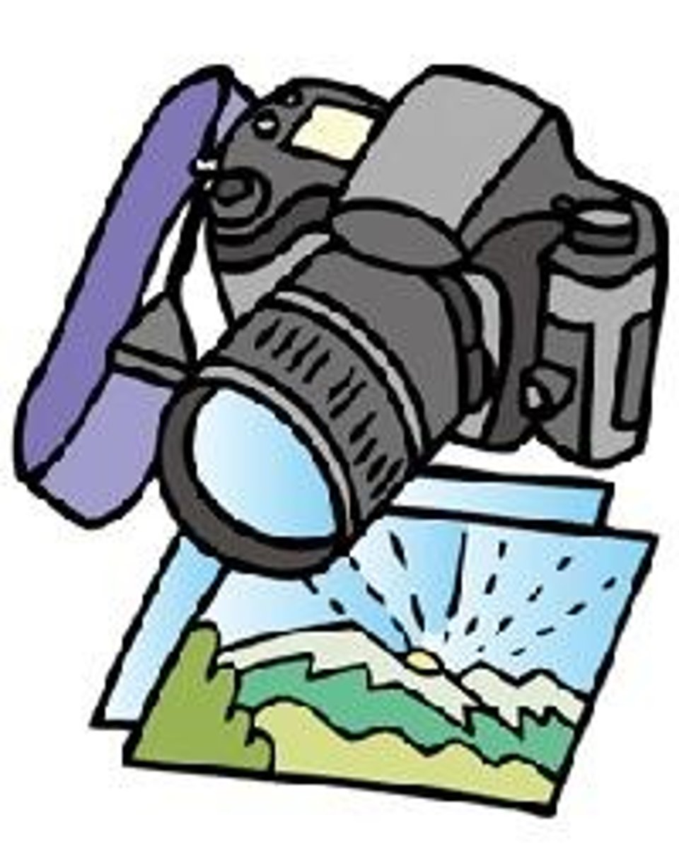<p>picture; photograph</p>