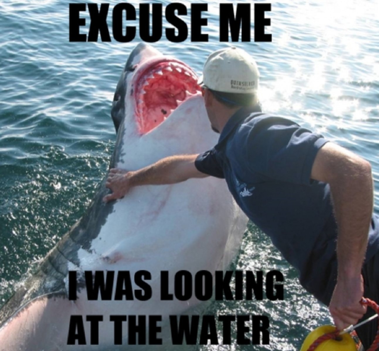 <p>Pardon me; Excuse me</p>