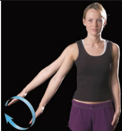 <p>rotation of the body part in any direction—circular movement</p>