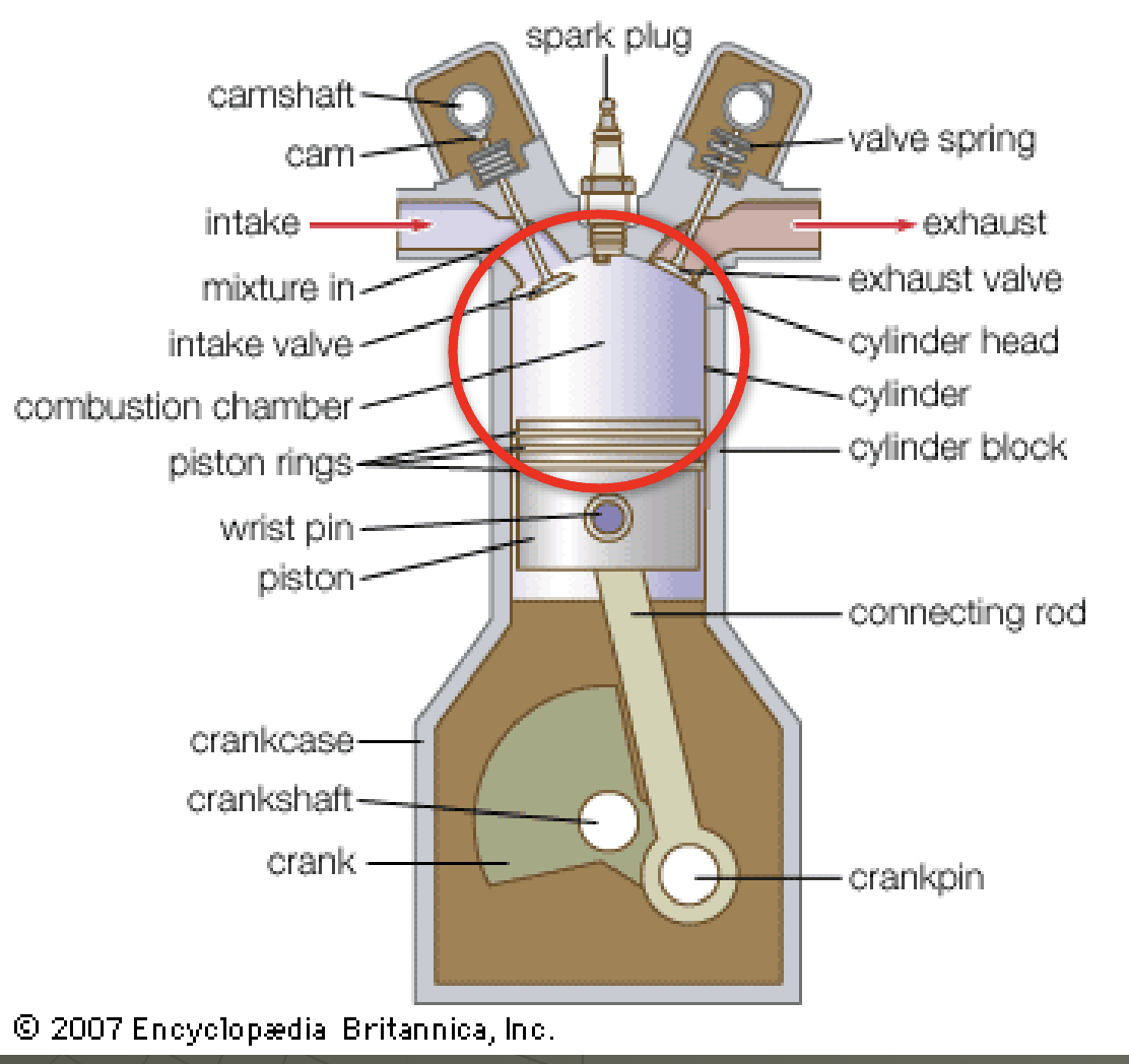 term image