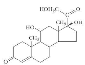 <p></p>