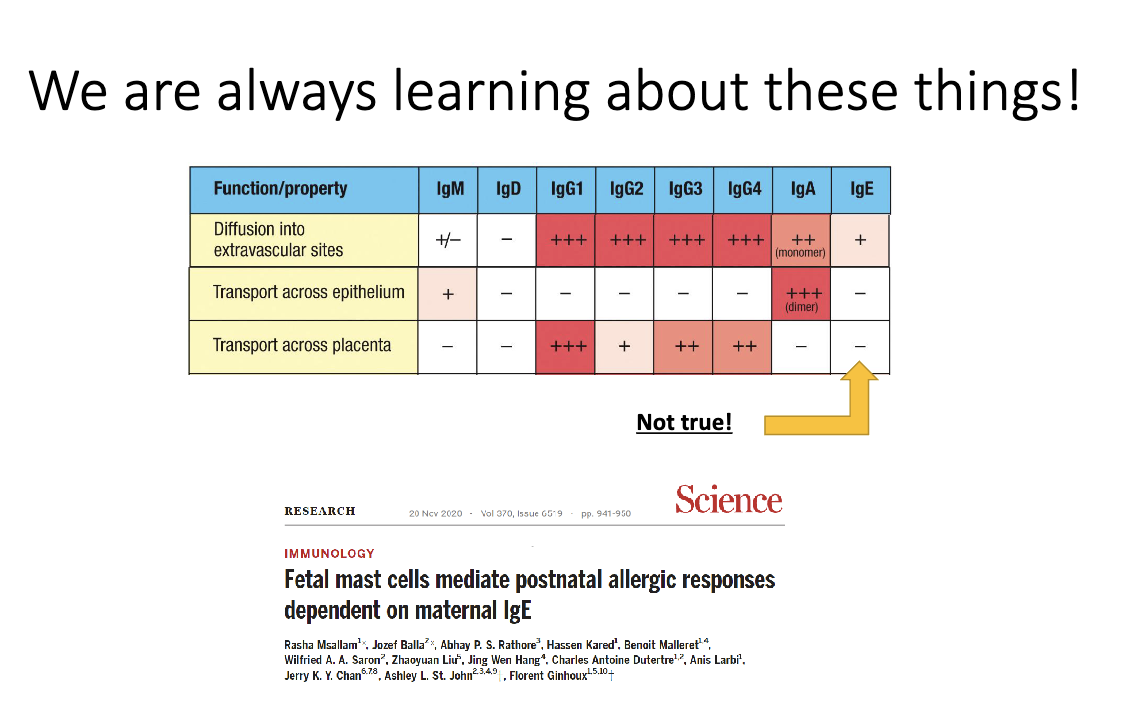 <ul><li><p class="isSelectedEnd"><span>Historically thought </span><strong><span>no</span></strong><span>, but 2020 data show </span><strong><span>yes</span></strong><span>.</span></p></li><li><p class="isSelectedEnd"><span>Fetal mast cells can acquire maternal IgE.</span></p></li><li><p><span>Provides a potential mechanism for </span><strong><span>inheritance of allergy risk</span></strong><span>.</span></p></li></ul><p></p>