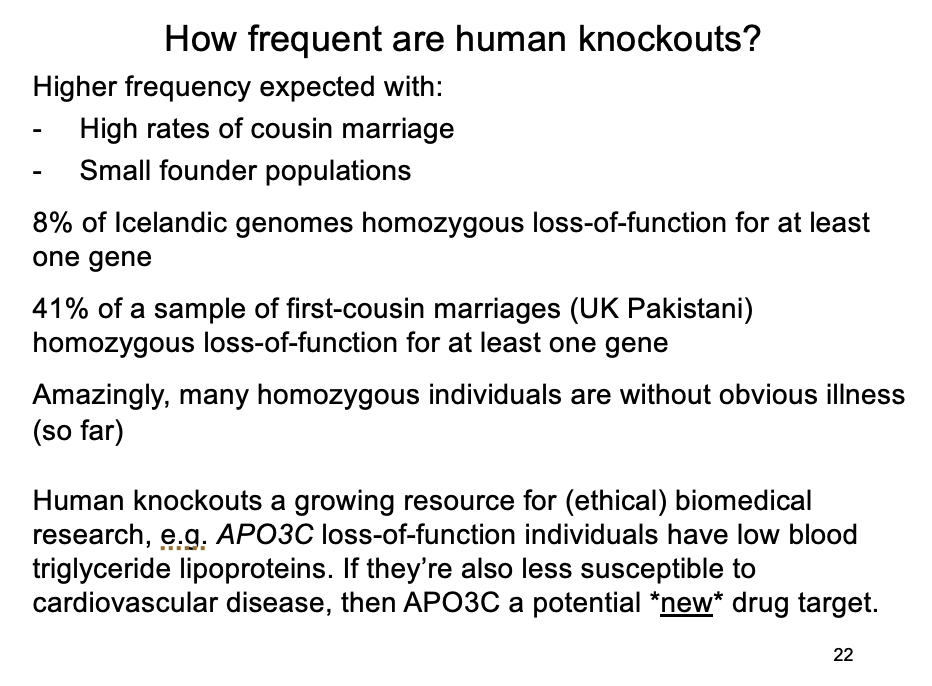 <ol><li><p>From 2636 Icelandic human genomes, ~8% homozygous loss-of-function for at least one gene  </p></li><li><p>From 3222 Pakistani British exomes, a subset were children of first-cousin marriages; 41% of these were homozygous loss-of-function for at least one gene, most without obvious illness  </p></li><li><p>Screening 874 disease genes in ~500,000 genomes showed 13 individuals homozygous for 8 severe Mendelian conditions, but no symptoms </p></li></ol><p></p>