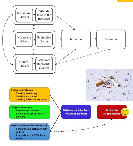 <p>continuum — <span><strong>intentional behavior</strong>, with the predictors of intentions being attitudes, perceived behavioral control, and subjective norms. <strong>Perceived behavioral control and intentions tend to be the strongest predictors of adherence</strong>. Subjective norms also predict behavior, but mainly among adolescents and for risk-taking behaviors</span></p>