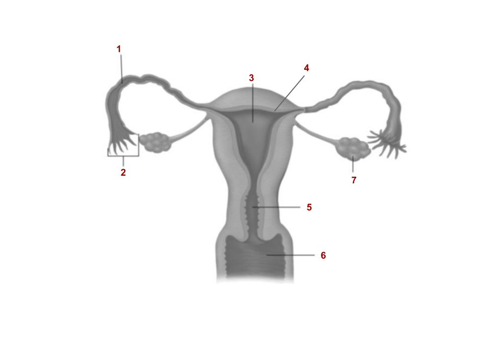 <p>5</p>