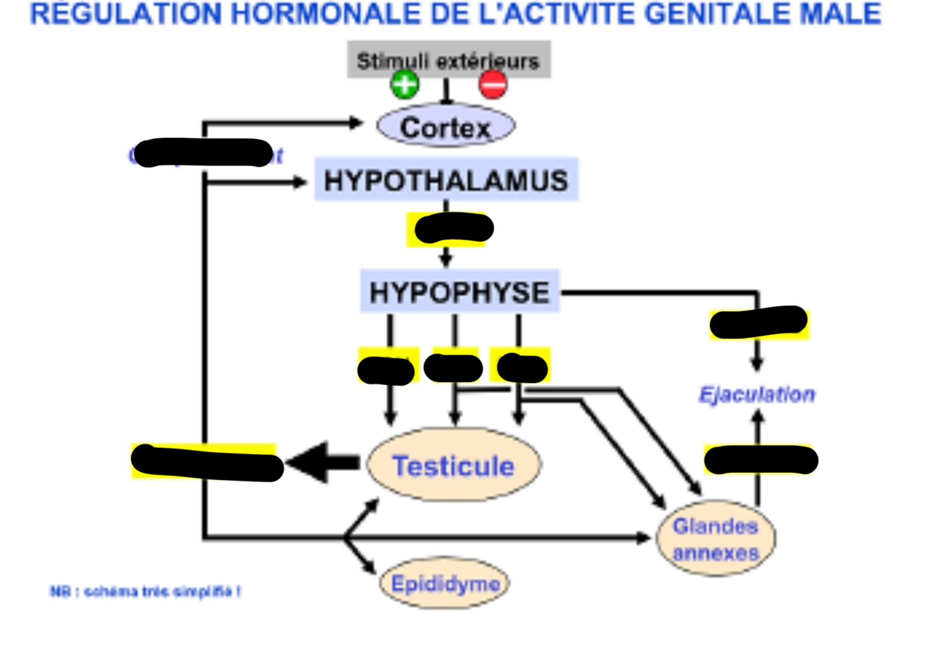 <p>Completer le schéma</p>