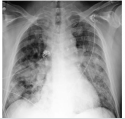 <p>what is this? </p>