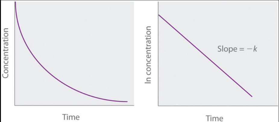 <p>Slope of concentration-time graph:</p><ul><li><p>-(𝝙[A] / 𝝙T)</p></li></ul><p><em>negative bc 𝝙[A] is negative, but rate is traditionally positive.</em></p><p></p>