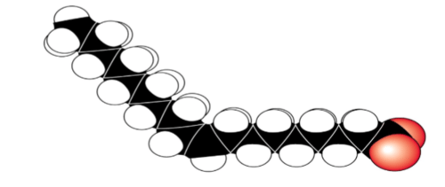 <p>A kink in the hydrocarbon tail</p>
