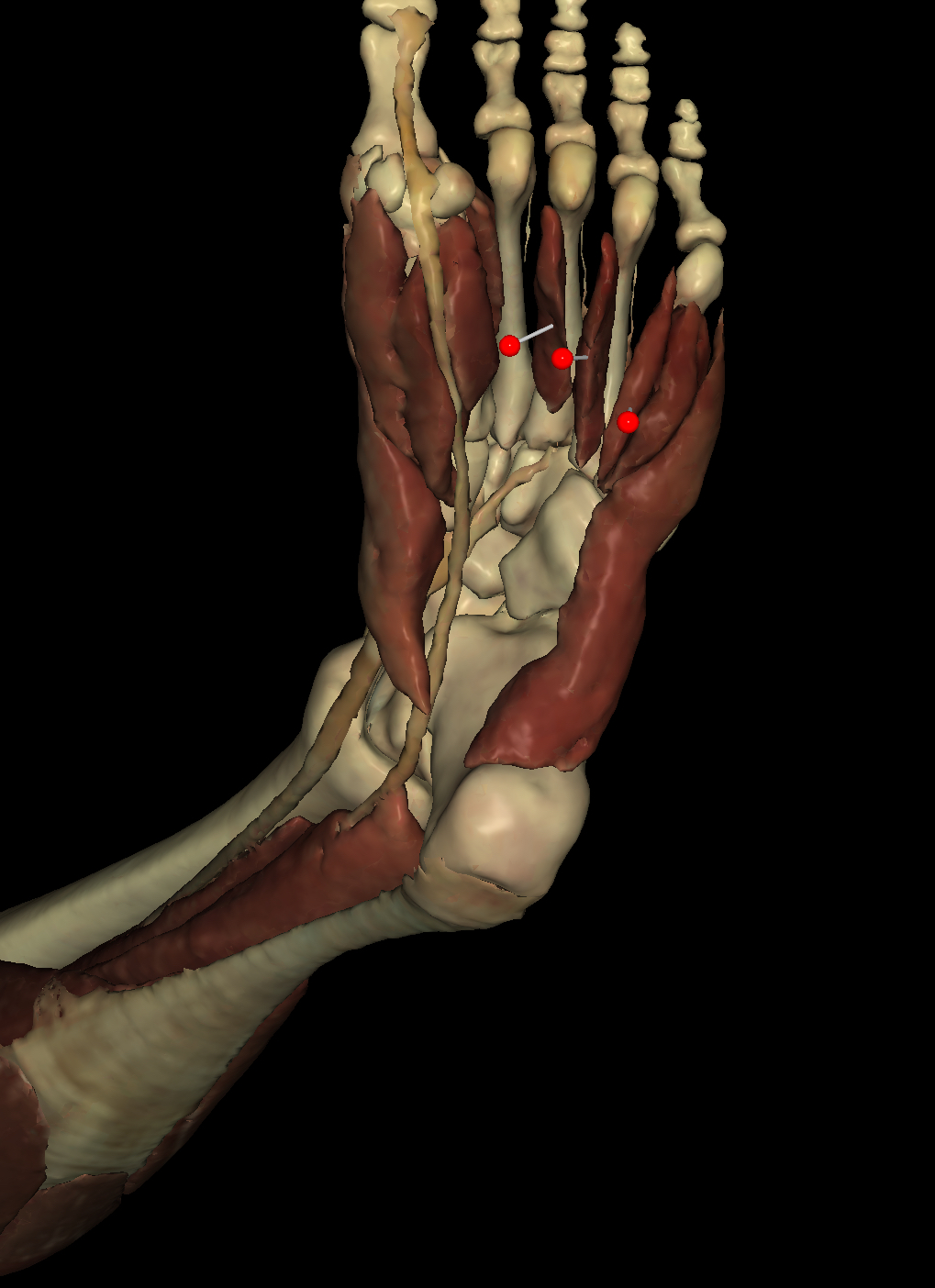 <p>Identify the Structure</p>