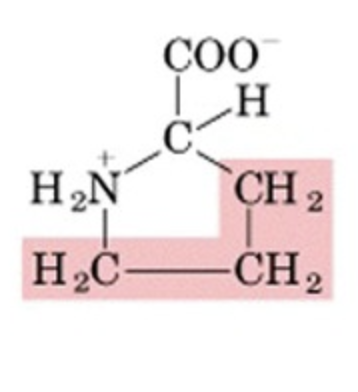<p>What’s this aminoacid?</p>