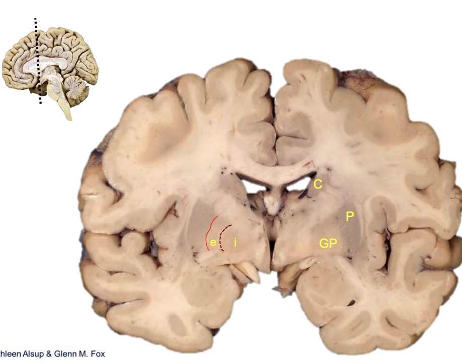 <p><strong>what is c?</strong></p>