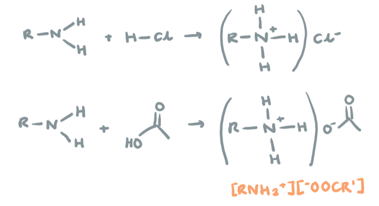 <p>React with acids to form salts (all amines can do neutralisation)</p><p>R-NH2 + HCl → R-NH3<sup>+</sup>Cl<sup>-</sup></p>