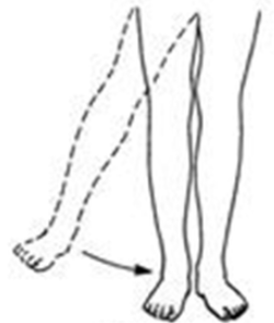 <p>What movement is this?</p>