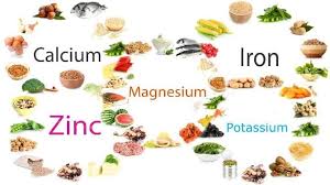 <p>What is the primary nutrient found in these foods?</p>