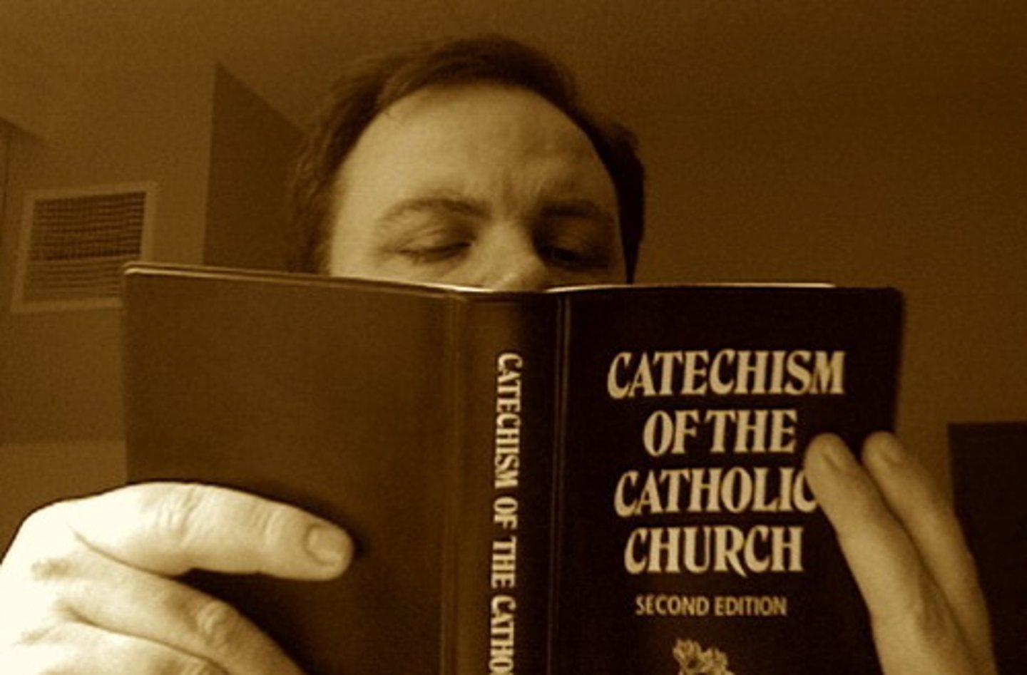 <p>- The Nicene Creed "We look forward to the resurrection of the dead and the life in the world to come."<br>- John's gospel (John 3:36, John 5:29, John 6:51 and John 11:25).<br>- Catechism of the Catholic Church.<br>- Scripture passages (symbolises the belief in eternal life).</p>