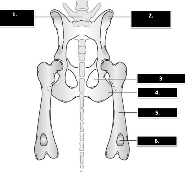 <p>what is 1</p>