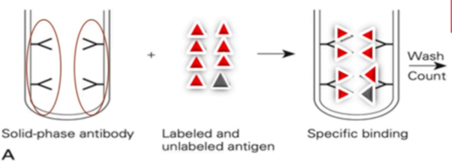 <p>In this case in competitive radioimmunoassay, very little patient antigen is present, and the radiolabeled antigen was able to bind to most of the binding sites making solid-phase (increase/decrease) in radioactivity.</p>