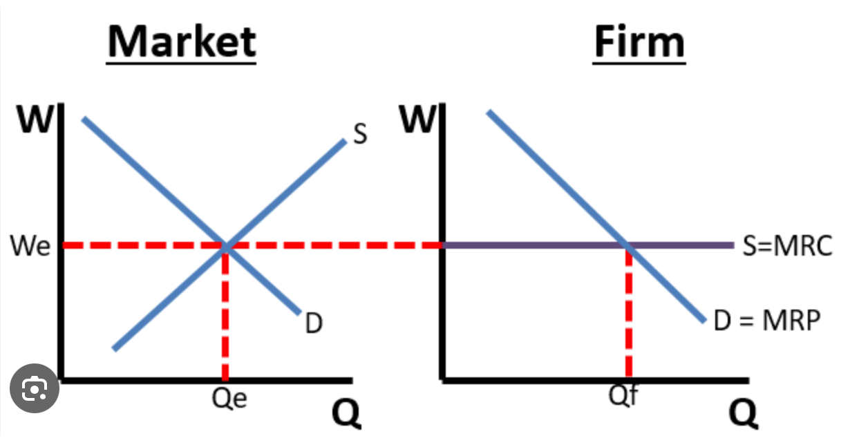 market based on businesses demanding the factors of production (land, labor, capital, entrepreneurship) from individuals and households and supplying wage, rent, interest, and profit instead of like in the product market (individuals demanding goods from businesses). There is a steady supply of labor all for the same price. 

* There is an inverse relationship between wage and quantity of workers demanded. 
* There is a direct relationship between wage and workers supplied by individuals. 
* derived demand: the demand for resources is determined by the products they help produce. 