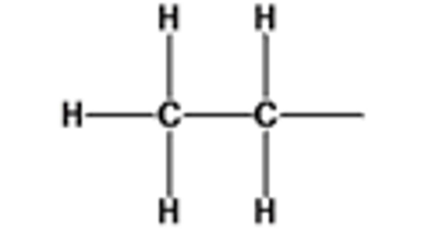 <p>An alkane with a hydrogen atom removed</p>