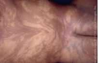 <p>what is this image? </p>