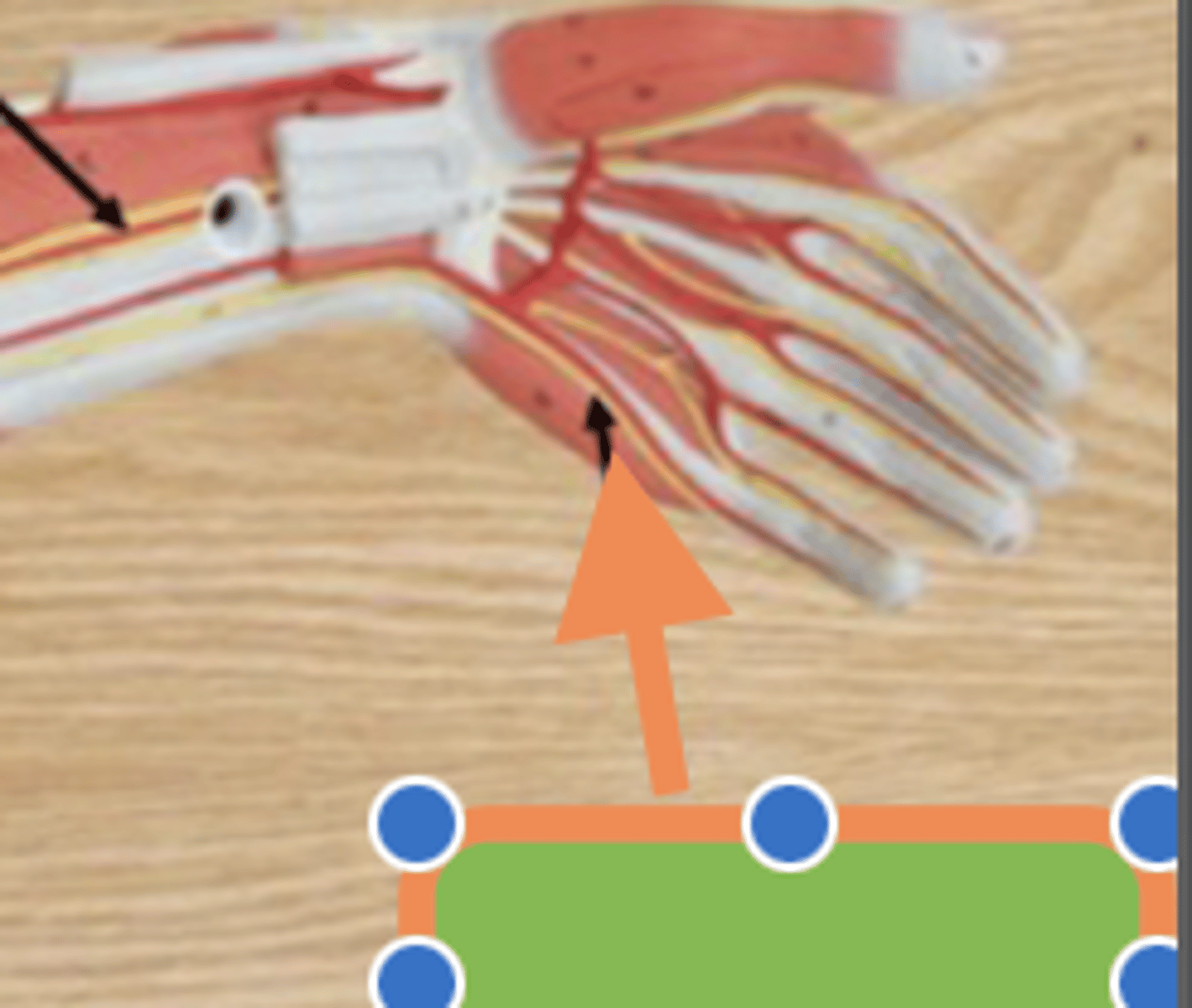knowt flashcard image