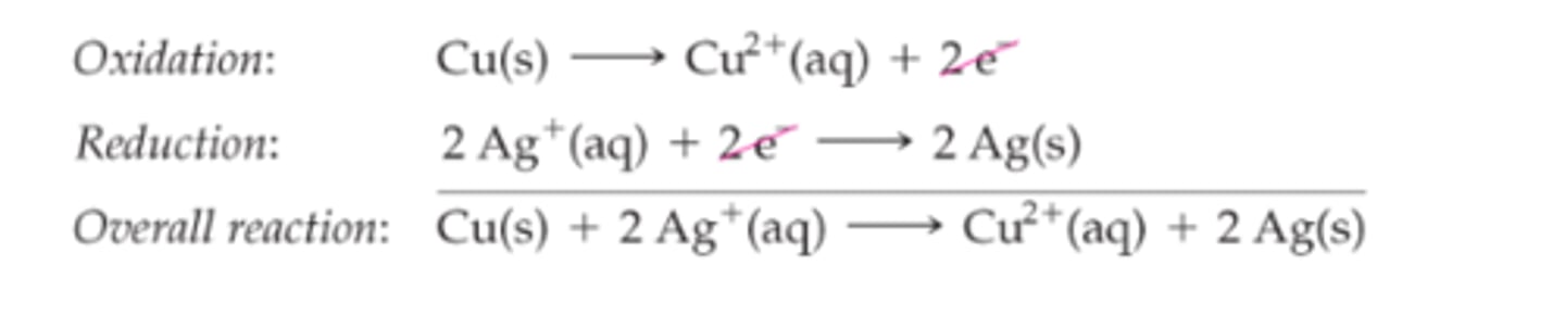 <p>electrochemical reaction are often split into two</p>