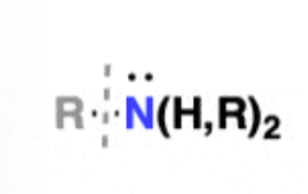 <ul><li><p>contains the functional group -NH<sub>2</sub>, -NHR, or NR<sub>2</sub> (R is a hydrocarbon)</p></li><li><p>substituents are known as amino groups </p></li><li><p>examples: morphine, codeine, cocaine </p></li><li><p>amines with N-H bonds are capable of hydrogen bonding —&gt; leads to higher boiling points and water solubility </p></li><li><p>lone pair on the nitrogen can act as a base</p></li></ul><p></p>