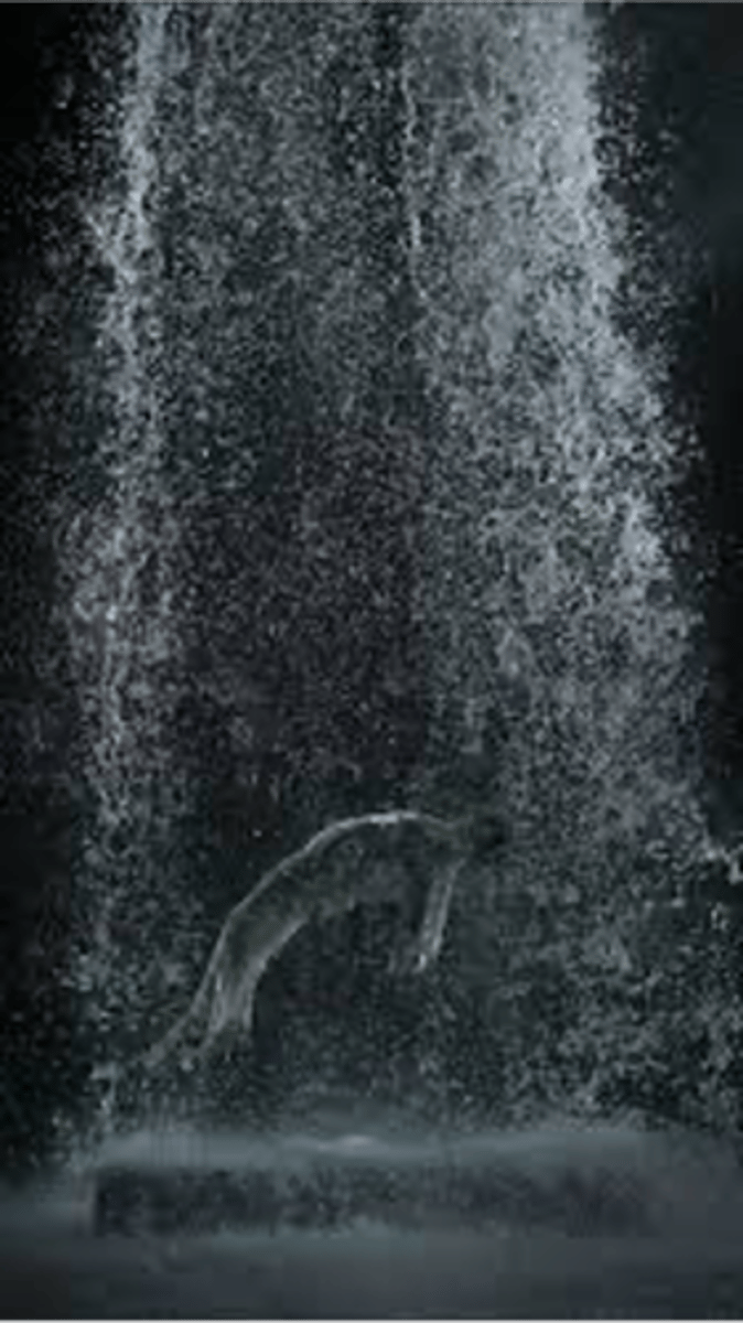 <p>Bill Viola ; vidéo art, élévation de l'âme</p>
