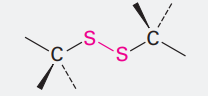<p>Ending: disulfide</p><p>SS</p>