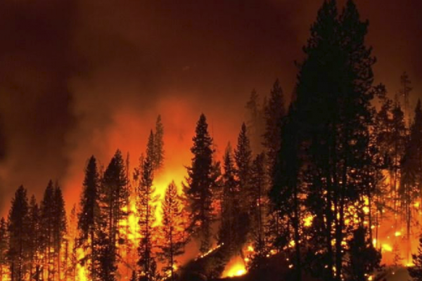 <p><span><span>an extensive fire which </span><u><span>destroys</span></u><span> a great deal of land or property</span></span></p>