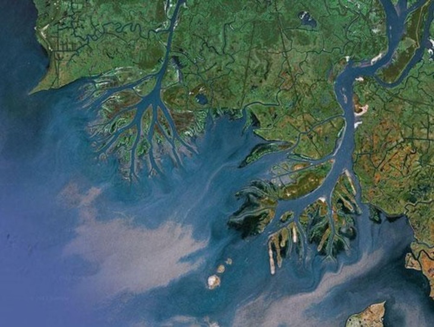 <p>A delta occurs at the mouth of a river where it carries a lot of sediment, leading to mass deposition when it meets a body of water.</p>